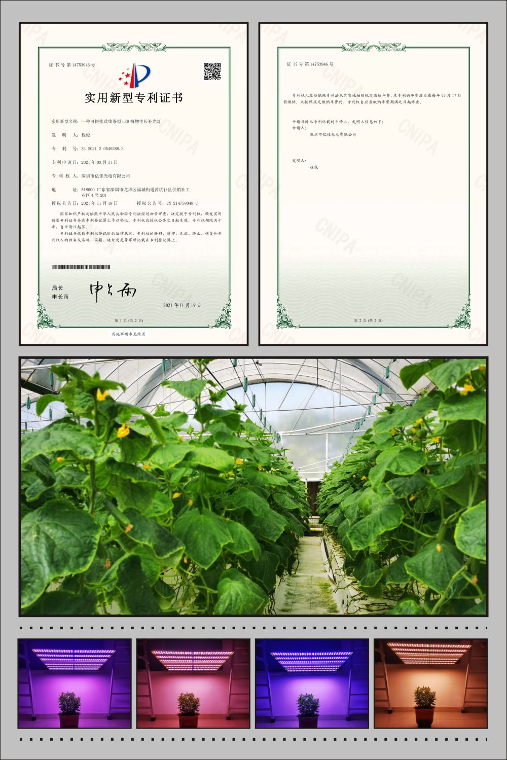 k1体育植物农场灯适用新型专利